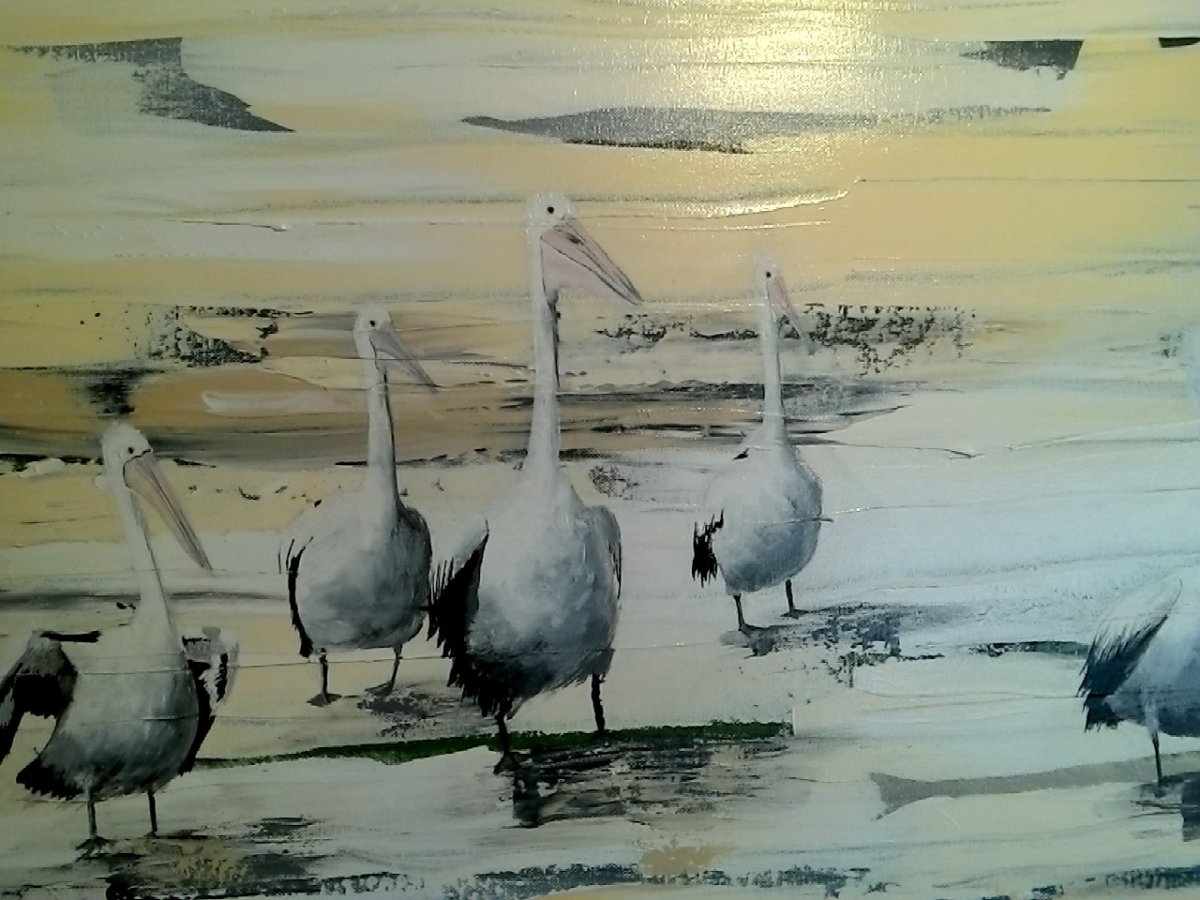 Pelican Picture 2, painting by artist Heather Wood