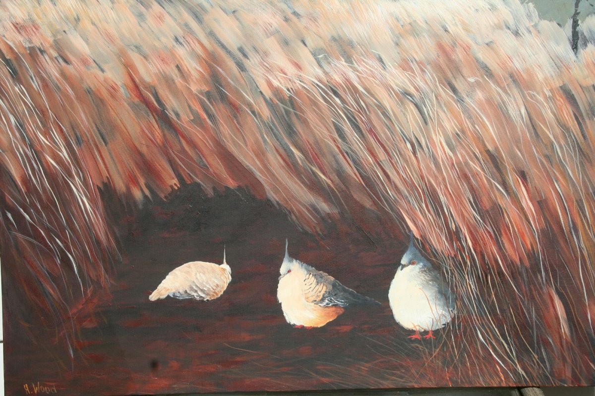 Spinifex Pigeons 2, painting by artist Heather Wood