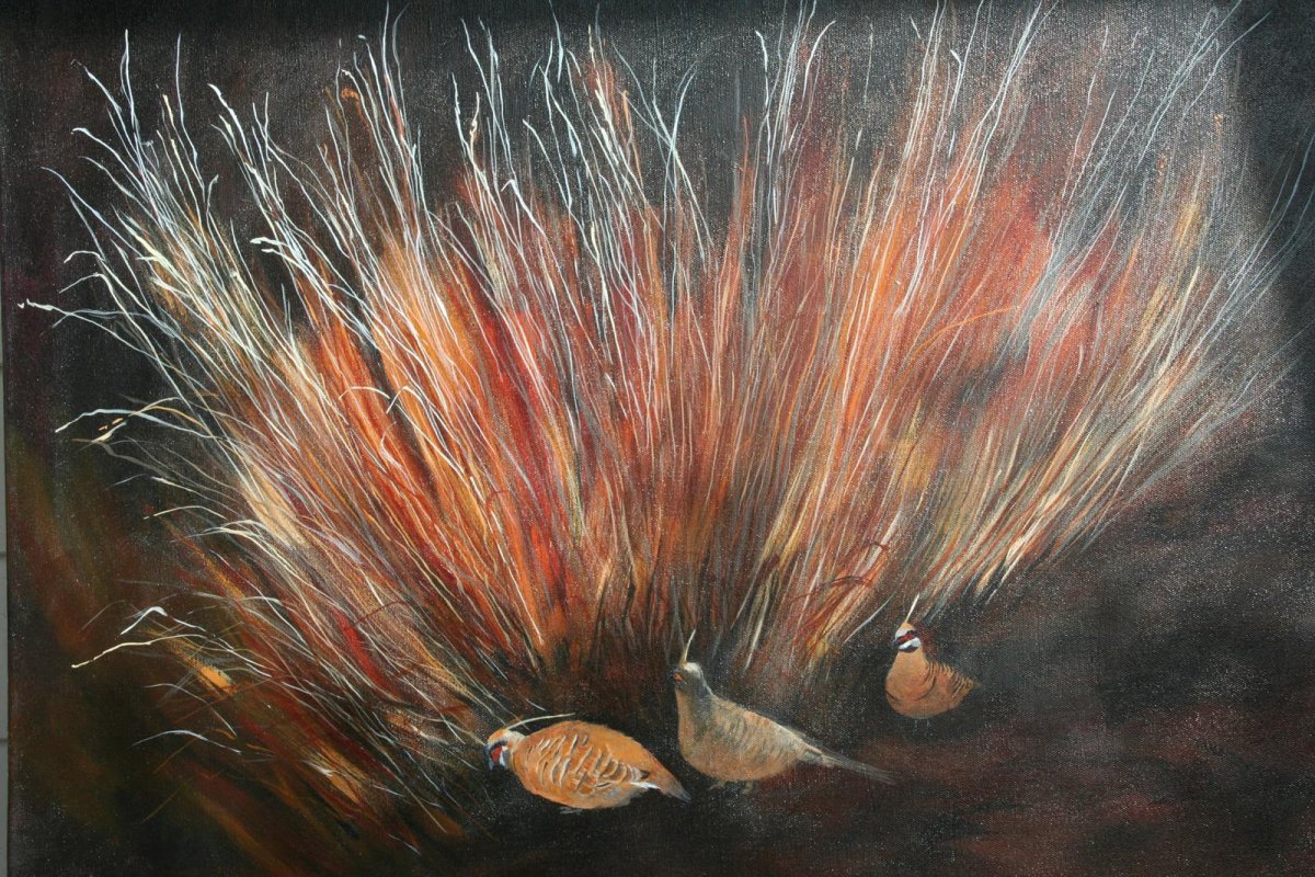 Spinifex Pigeons, painting by artist Heather Wood